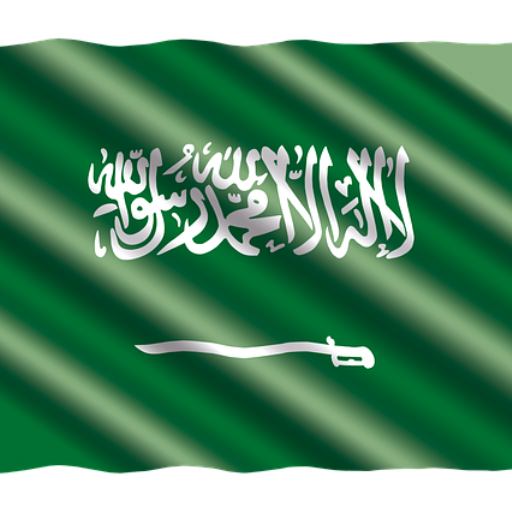 Saudi Sebia Business logo Saudi Arabia Serbia Business