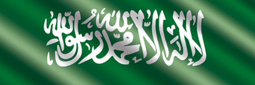 Saudi Sebia Business logo
